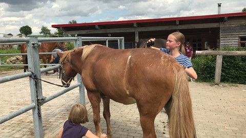 Das Leben ist ein Ponyhof!, Bild 12